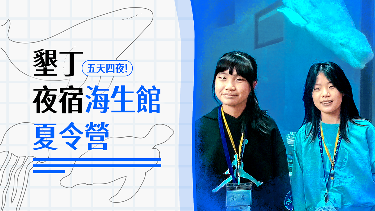 墾丁夜宿海生館五天四夜自然科學夏令營